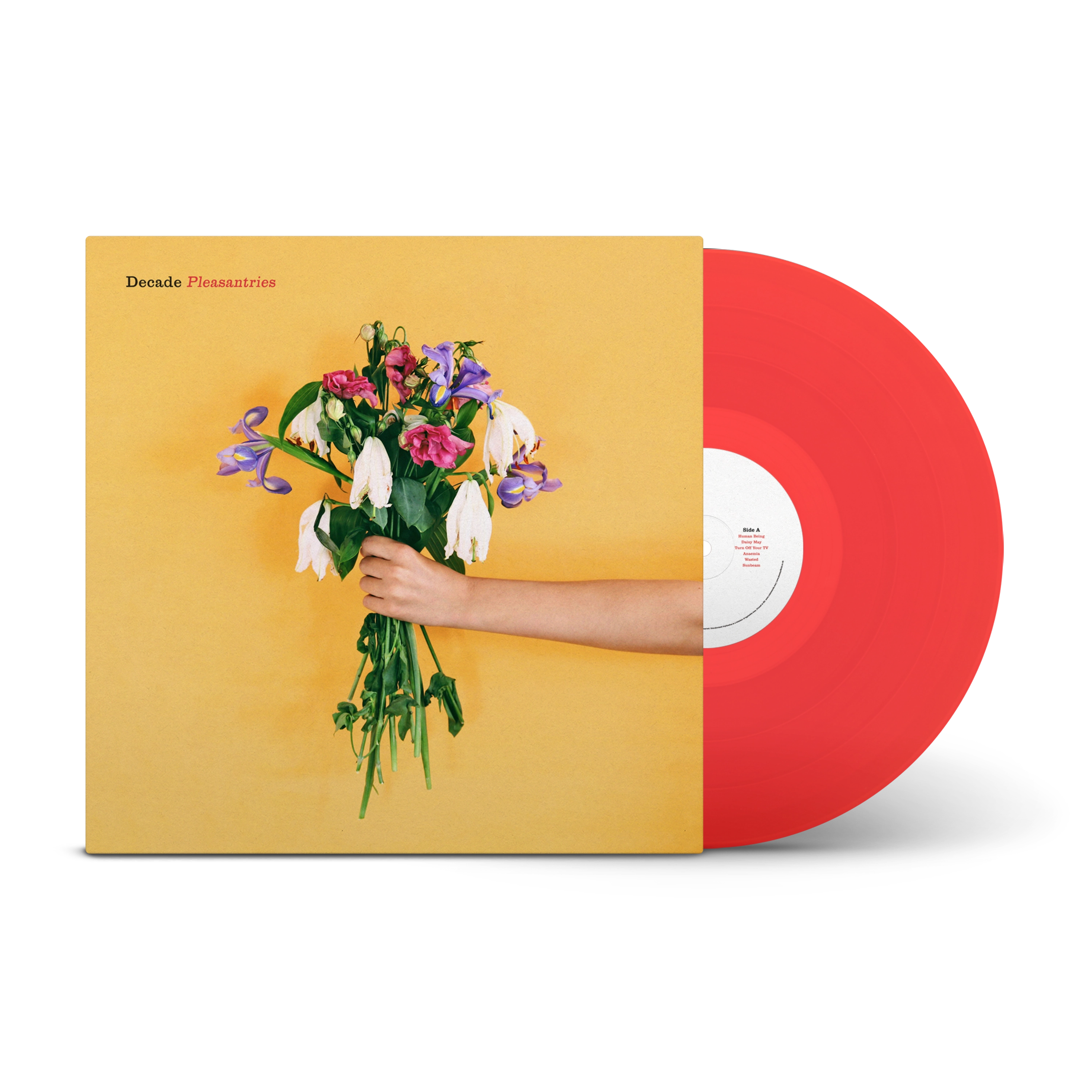 Pleasantries Transparent Red LP – Rude Records Shop