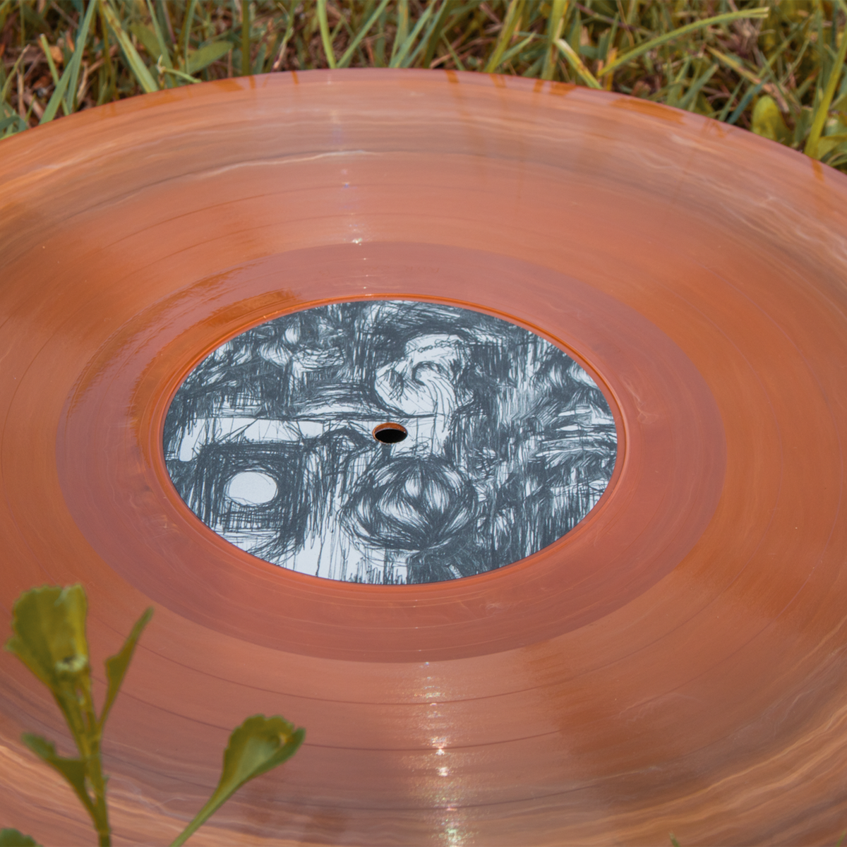 The Earth Pushed Back Supernova LP (10th Anniversary Edition)