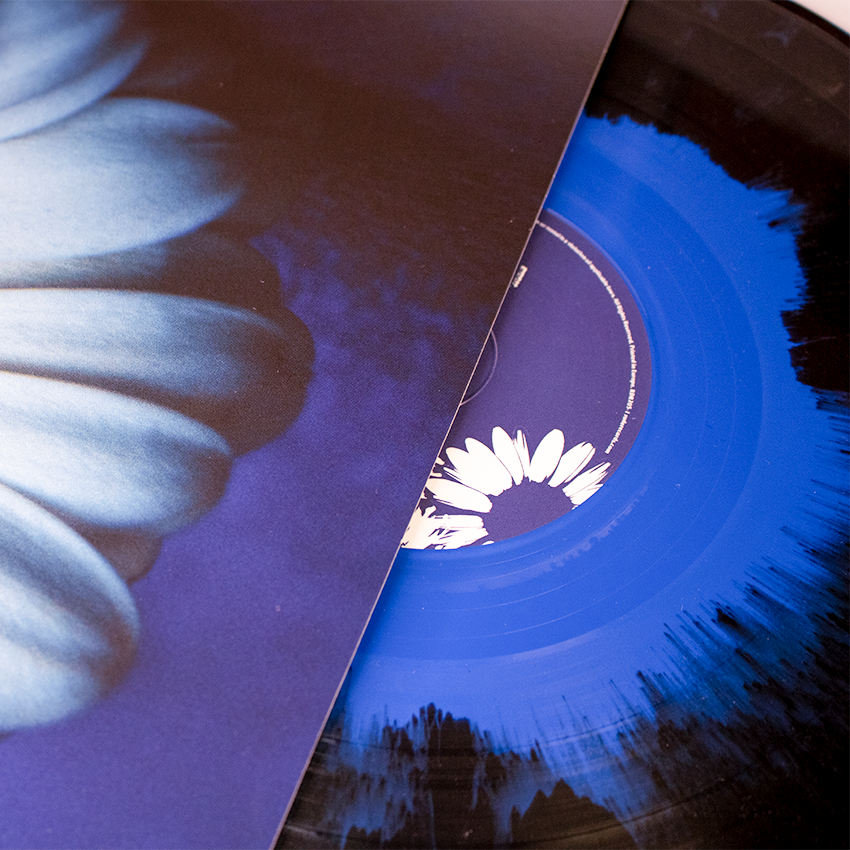 Lost In The Noise Blue in Black LP