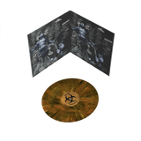 Media 4