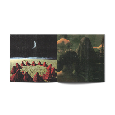 Every Sound Has A Color In The Valley Of Night Half Clear Half Green with Black Splatter Double LP