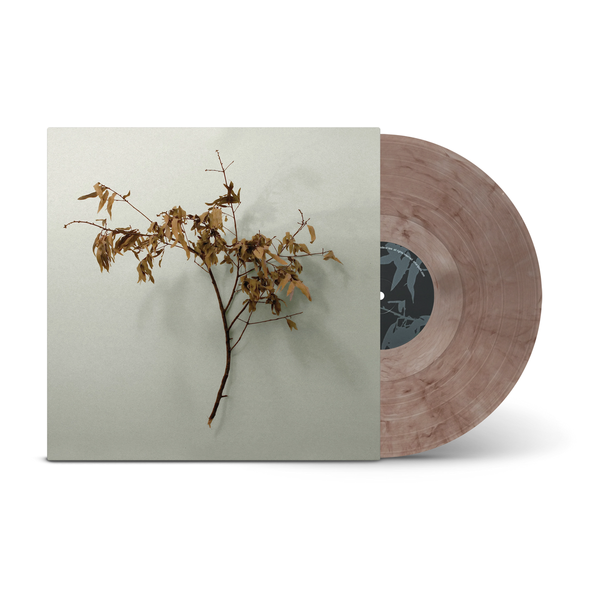 In Motion Truffle LP