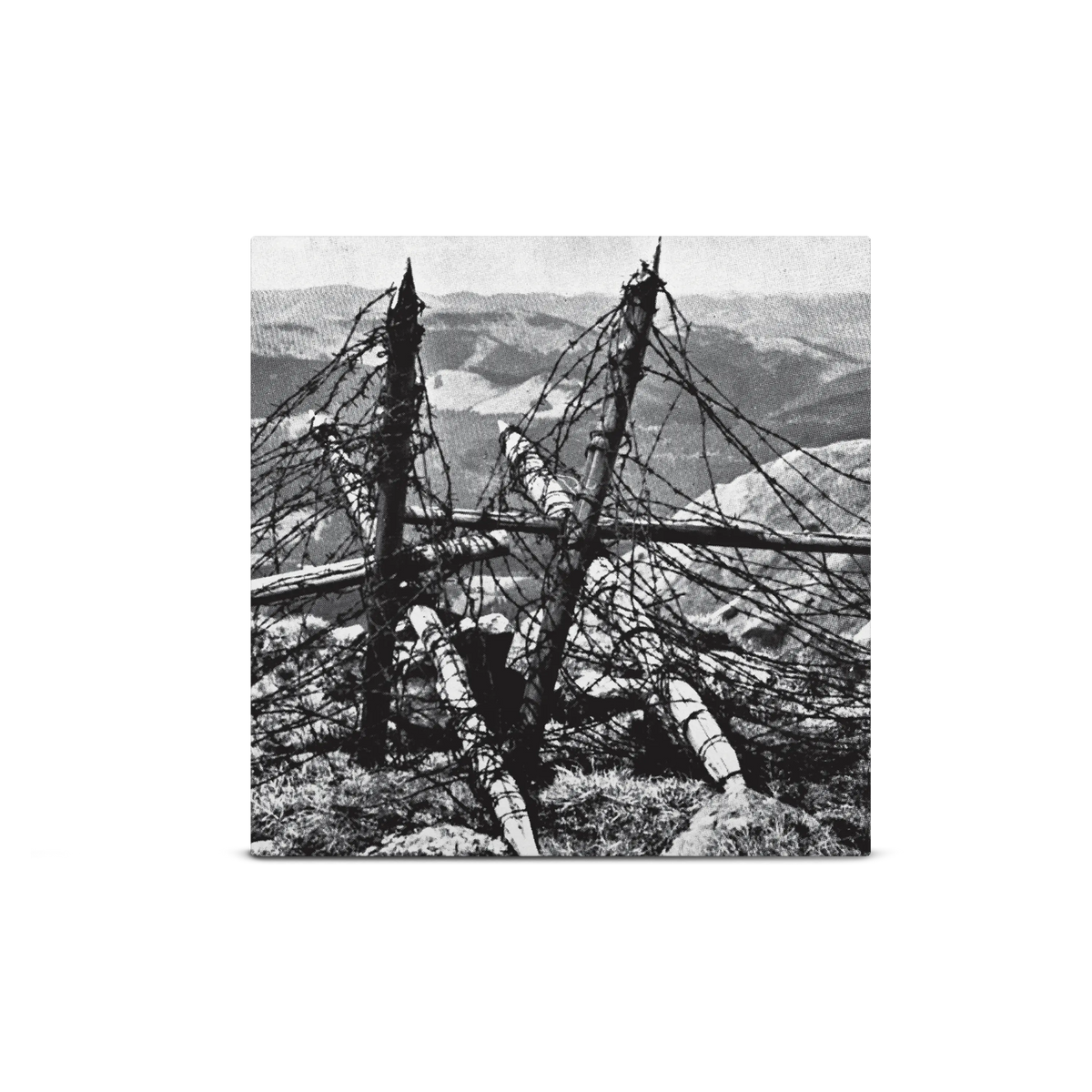Voi-La Intruder Bone, Sunshine & Neon Orange Tri-Coloured A/B Side Double LP