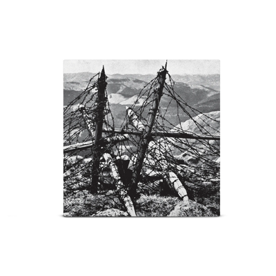 Voi-La Intruder Bone, Sunshine & Neon Orange Tri-Coloured A/B Side Double LP