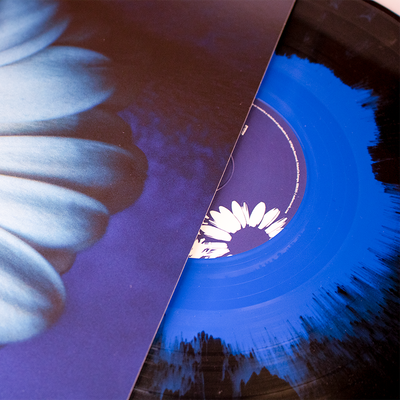 Lost In The Noise Blue in Black LP