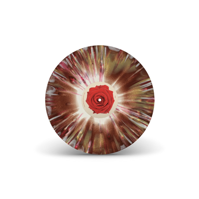 A Flair For The Dramatic Solid Gold, Brown & Bone Tri-Coloured LP