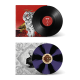 Media 2