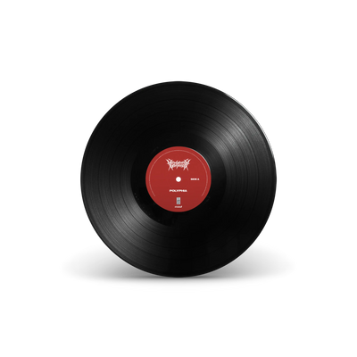 New Levels New Devils Black LP