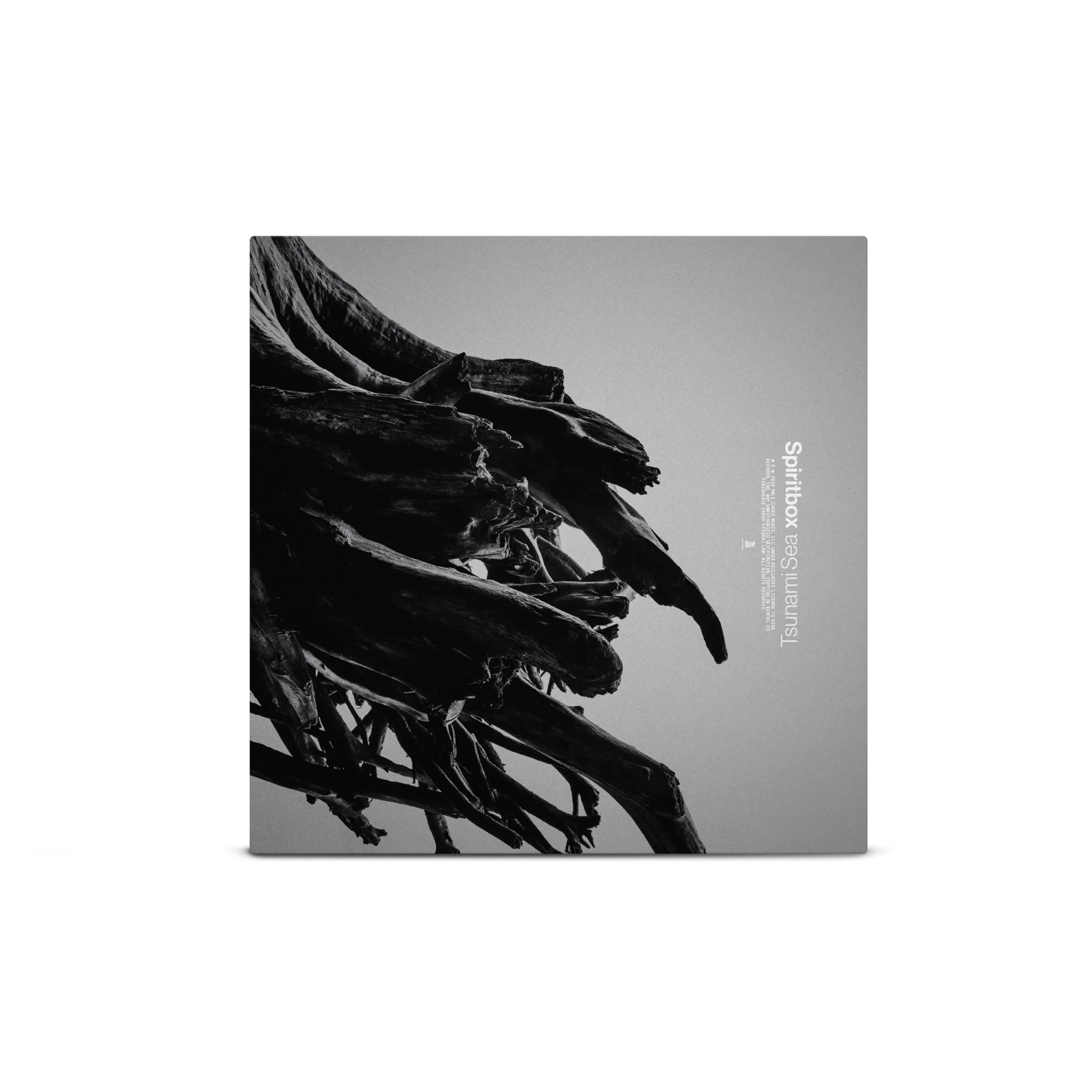 Spiritbox - Tsunami Sea レコード Amazon.com: Tsunami Sea White Spiritbox - Tsunami Sea レコード Amazon.com: Tsunami Sea White