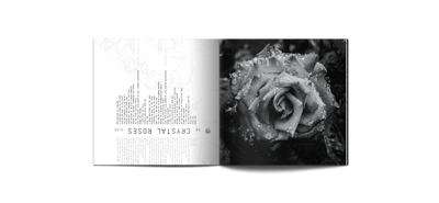 Tsunami Sea Bleach Marble with Alternate Artwork LP
