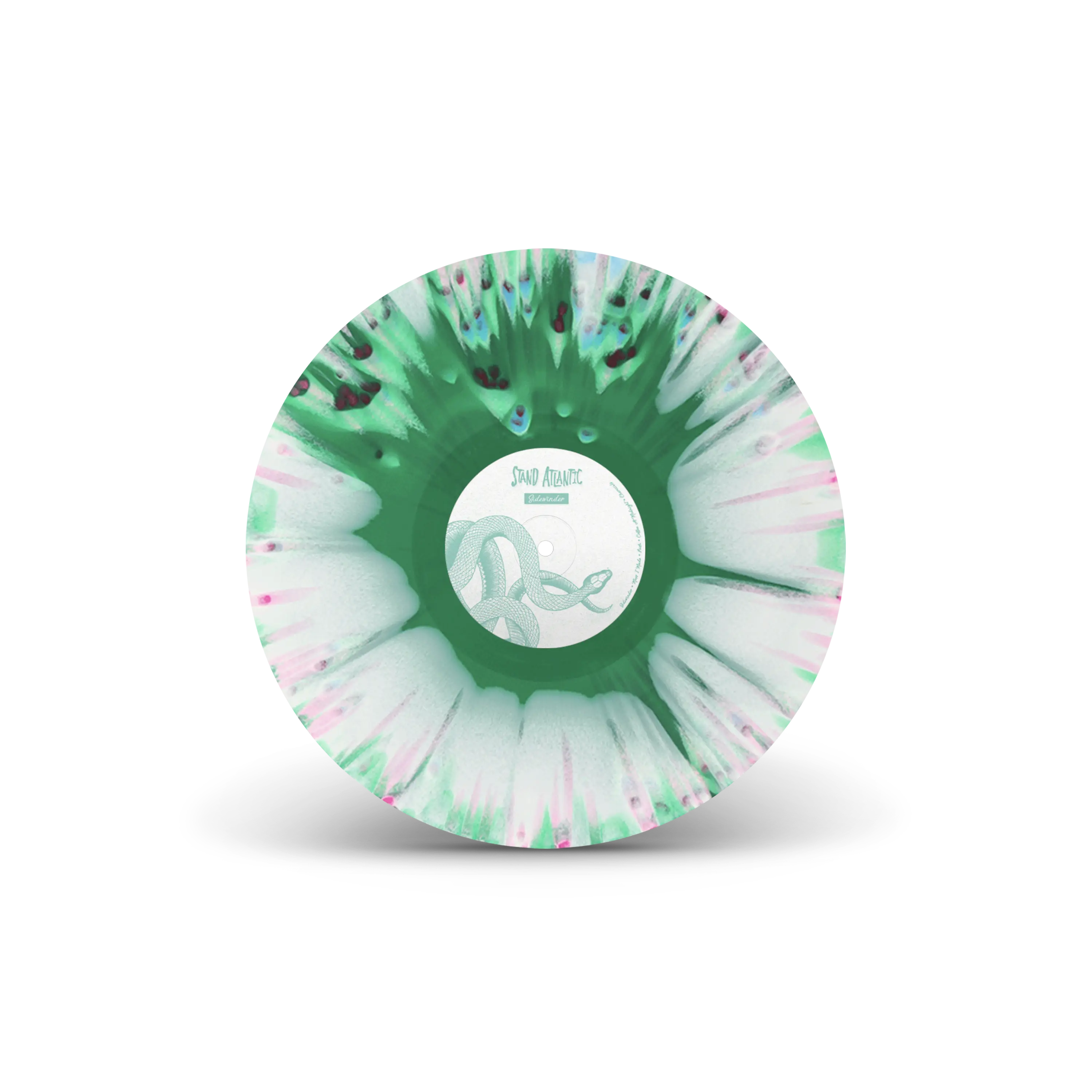 廃盤Stand Atlantic - Sidewinder Vinyl レコード STAT_LP_Tricolor_Vinyl_Mockup_