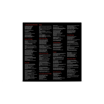 Hero Of Our Time Black, Orange & Red Tri-Coloured A/B Side LP