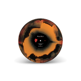 Media 5