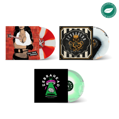 Zebrahead Be The Change Vinyl Bundle