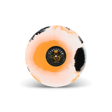 Media 5